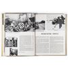 Image 10 : 44TH INFANTRY DIVISION COMBAT HISTORY