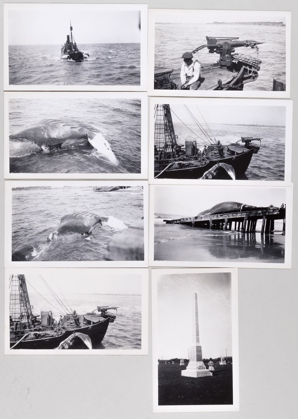 VINTAGE WHALING PHOTOS