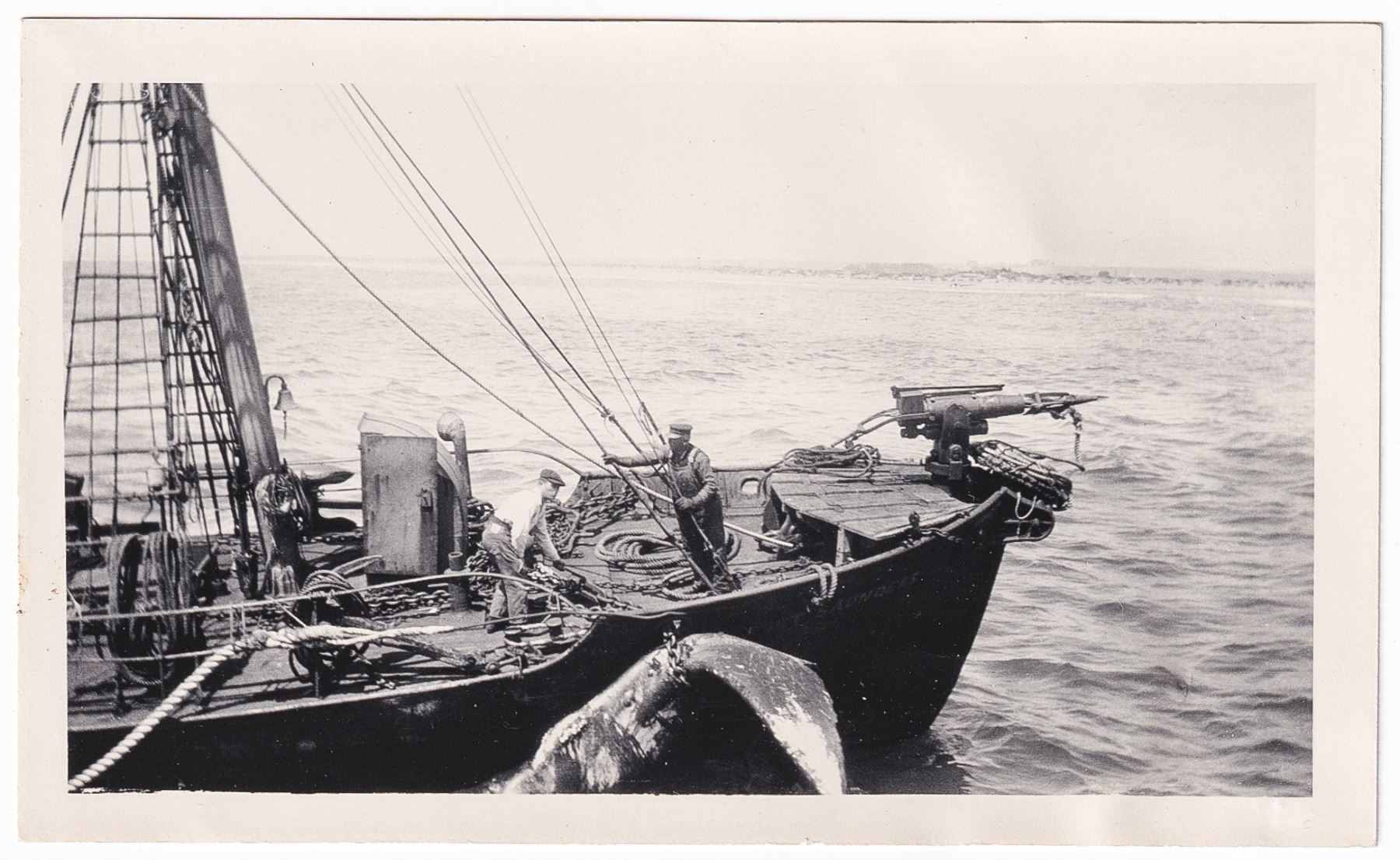 VINTAGE WHALING PHOTOS
