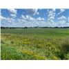 Image 10 : 112 ACRES OF QUALITY FARM LAND