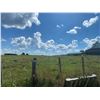 Image 12 : 112 ACRES OF QUALITY FARM LAND