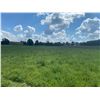 Image 14 : 112 ACRES OF QUALITY FARM LAND