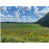 Image 16 : 112 ACRES OF QUALITY FARM LAND