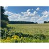 Image 3 : 112 ACRES OF QUALITY FARM LAND