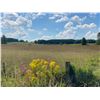 Image 5 : 112 ACRES OF QUALITY FARM LAND
