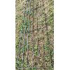 Image 2 : 18 FOOT FARM GATE