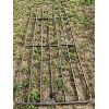 Image 1 : 14 FOOT SQUARE TUBE FARM GATE
