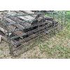 Image 2 : LOT OF 2 - 16 FOOT SQUARE TUBE FARM GATES
