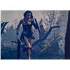 Image 1 : Autograph Signed Woner Woman Gal Gadot Photo