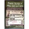 Image 1 : Shafer: Panic Scrip of 1893, 1907, and 1914