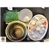 Image 1 : LOT OF FLOWER POTS & SEA SHELLS