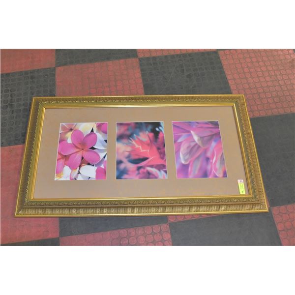 FRAMED ART 26" X 46"