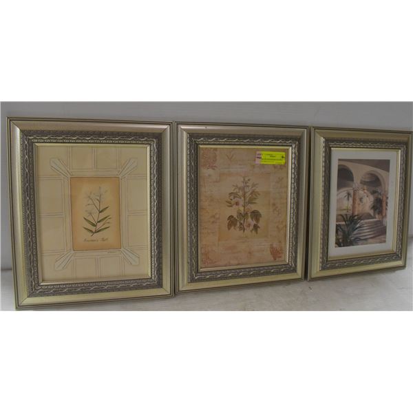 3 DECOR SHOWHOME FRAMED PICTURES 14" X 12"