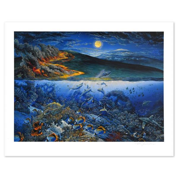 Wonders of Mahea-Lani by Nelson, Robert Lyn