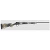 Image 1 : BGA B-14 HUNT WILDERNESS 308WIN 22" GREY SYN