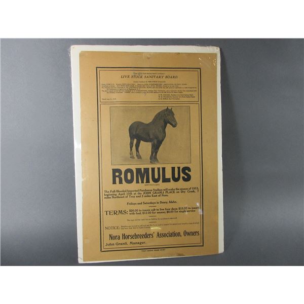 Original 1909 Poster From Romulus A Full Blooded Imported Percheon Stallion- Troy Idaho- 19  X 13 