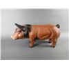 Image 1 : Large Piggy Bank- 11"H X 21"L X 6.5"W