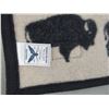 Image 3 : 2 Small Pendleton Rugs- 43" X 33"- Like New