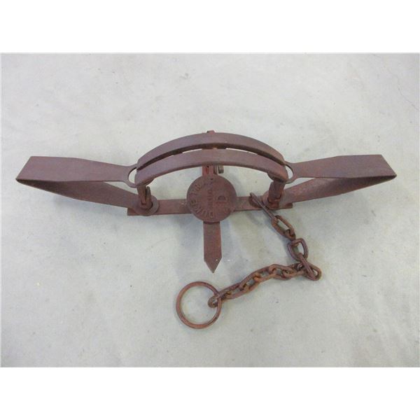 Duke #16 Bear Trap With Teeth- Swiveled Chain- Great Condition