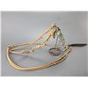 Image 1 : Rawhide 1 Ear Headstall With Romal Reins- Unmarked Silver Overlaid Bit- Arizona Style Cheek- High Po