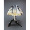 Image 1 : Horn Lamp With Horn Shade- Works- 16"H X 12"W