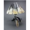Image 2 : Horn Lamp With Horn Shade- Works- 16"H X 12"W