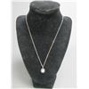 Image 1 : Marked BTER Turquoise Necklace