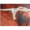 Image 2 : Unmarked Longhorn Print- 33" X 23"