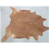 Image 1 : Large Cowhide- 80" X 75"- New Condition
