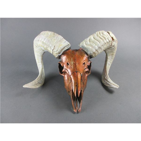 Montana Hand Painted Dall Sheep Skull- 21"L