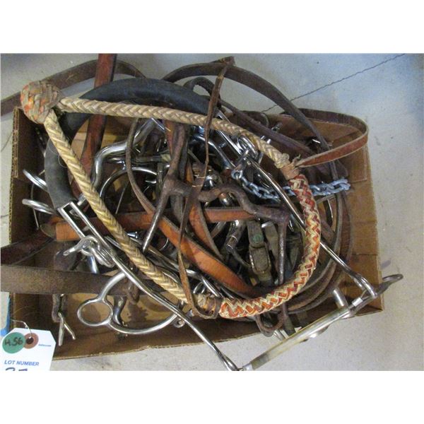 3 Pair Of Spurs- 7 Bits- Mechanical Hackamore- Bosal