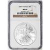 Image 1 : 2007-W $1 Burnished American Silver Eagle Coin NGC MS69