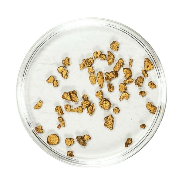 Lot of Gold Nuggets 1.91 Grams Total Weight