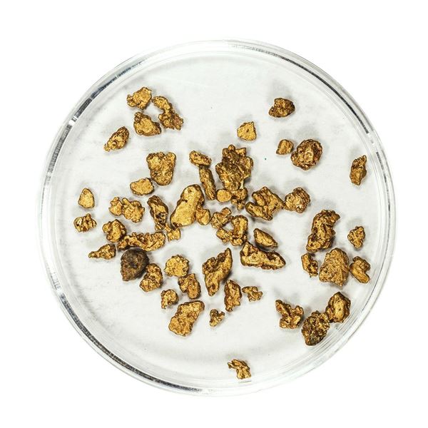 Lot of Gold Nuggets 3.59 Grams Total Weight
