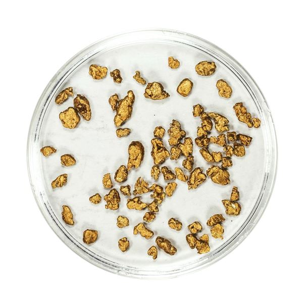 Lot of Gold Nuggets 3.04 Grams Total Weight