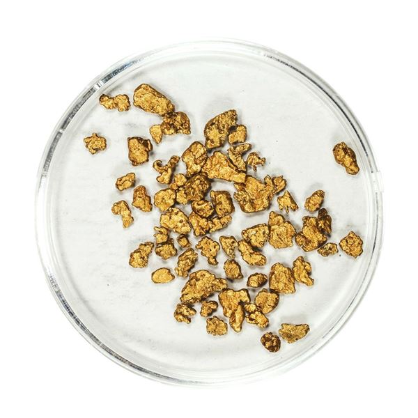 Lot of Gold Nuggets 3.35 Grams Total Weight