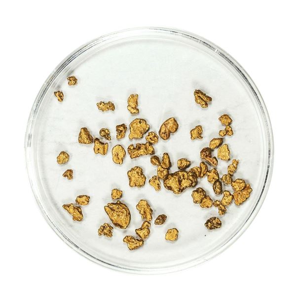 Lot of Gold Nuggets 2.17 Grams Total Weight