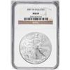 2007-W $1 Burnished American Silver Eagle Coin NGC MS69
