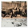 Image 1 : Jackson Pollock at Work by "Ringo" Daniel Funes
