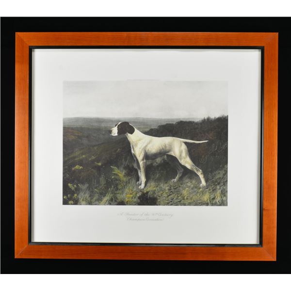  POINTER IN FIELD  &  CHAMPION CORONATION  PRINTS.