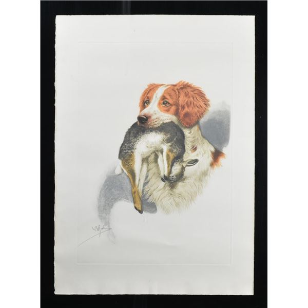 10+ VARIOUS DOG & FOWL PRINTS.