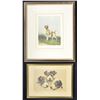Image 3 : 9 FRAMED PRINTS & ENGRAVINGS.