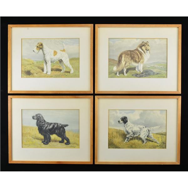 9 FRAMED HUNTING DOG IMAGES.