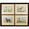 Image 1 : 9 FRAMED HUNTING DOG IMAGES.