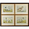 Image 2 : 9 FRAMED HUNTING DOG IMAGES.