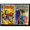 Image 1 : PETER PARKER, THE SPECTACULAR SPIDER-MAN NO.82/99 (MARVEL COMICS)