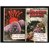 Image 1 : THE MAXX NO.1/DARKER IMAGE NO.1 (IMAGE COMICS)