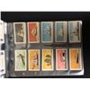 Image 2 : VINTAGE CIGARETTE CARDS LOT (COMPLETE SET)