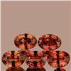 Image 2 : Natural AAA Color Change Garnet 5 Pcs [VVS]