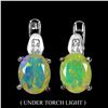 Image 1 : Natural Ethopian White Opal Earrings